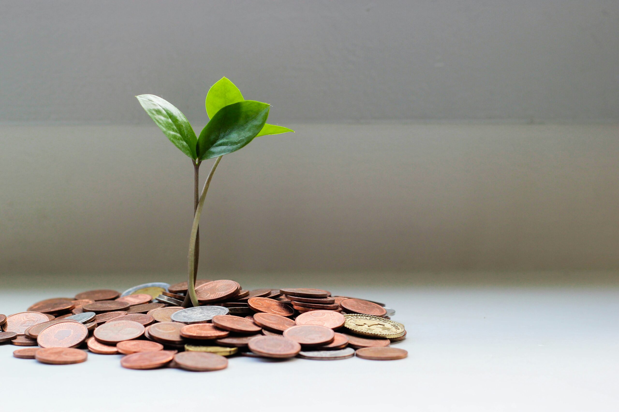 Inversiones en negocios emergentes